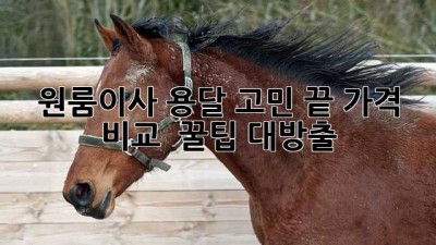 📦 원룸이사 용달 고민 끝! 가격 비교 & 꿀팁 대방출 🍯
