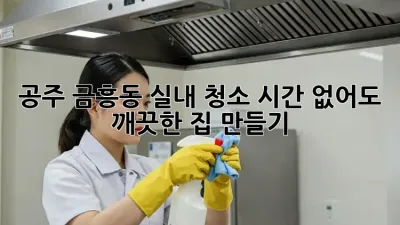 공주 금흥동 실내 청소, 시간 없어도 깨끗한 집 만들기!